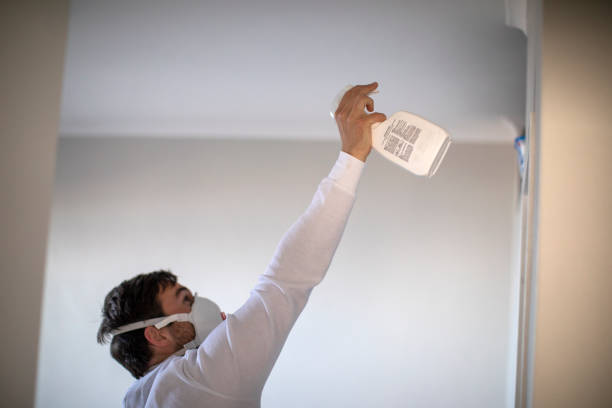 Best Best Mold Removal Companies  in Walnut Cove, NC